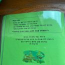 단지골 몽상가 이미지