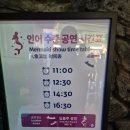 꿈꾸는 아이들의 미소 | 씨라이프 코엑스 아쿠아리움 인어공주 인어쇼 시간