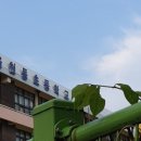 서울천동초등학교 이미지