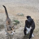 경주한옥펜션 하늘터밭 이미지