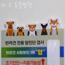 Dr.주 동물병원 이미지