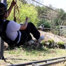 불암산더불어숲 이미지