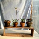 창석농장 이미지