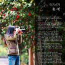 제주그리미