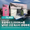 강화가축인공수정소 | [책] 아프다고 말해주면 좋겠어 –김정호
