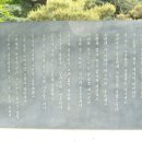 박정희로-31 이미지