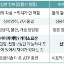 수면장애 한약제제의 세포 교정 접근입면 및 수면 유지 장애의 기전별 맞춤형 처방 전략 이미지