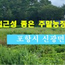 충연농장 네이버블로그