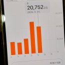 천리포해수욕장(마을회관) | [충남/태안/천리포수목원]5월 천리포수목원은 비비추의낙원, 식사는 천리포횟집 아나고두루치기 드십시오