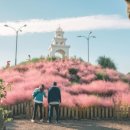 제주허브동산 이미지