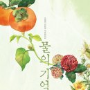 물의 기억 이미지