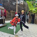 속리산 자생식물원 화장실 | [충북/보은] 속리산 테마파크 8살 아이와 '스카이트레일' 후기