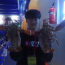 조부장바다낚시터 이미지