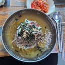 세종왕만두 - 9928 | 맛집] 무더위 한방에 날릴 인생 막국수, '진산메밀막국수' 물&비빔에 왕만두까지 내돈내산 솔직 후기