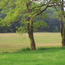 서정적 풍경 이미지