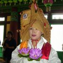 국군부산병원 Daum카페
