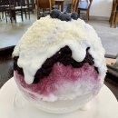 흰다정 | 속초 빙수 흰다정 블루베리빙수 내돈내산 솔직후기 웨이팅 주차 애견동반 총정리