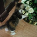 반포4동016 이미지