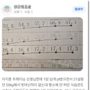 고릴라멀티짐 이미지