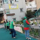 온양2동 중앙로 이미지