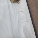 진하약국 이미지
