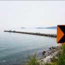 인디코리아 이미지