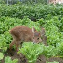 백담알프스펜션 이미지