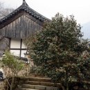 정기코스 이미지