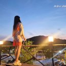 스틸편의점 | 대구 군위 여행 군위 캠프 301 카라반 캠핑 & 스틸 301 대형 베이커리 카페까지 야무진 여행후기