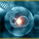 CW-2301-01 이미지