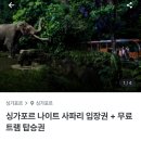요기나라판다 이미지