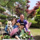 관기초등학교 이미지