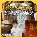 전주한옥마을호텔 | [전주 완산구] 전주한옥마을한복 선녀와나무꾼 후기