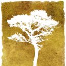 새봄이야 이미지