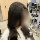 루시헤어 이미지