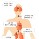 편백효소방 이미지