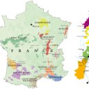 와인의 이해 이미지