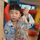 어촌댁 이미지