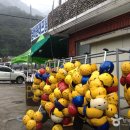 한백레포츠 이미지