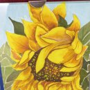 깜헤어샵 이미지