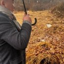 SM행정사사무소 이미지