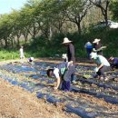 복내면사무소 이미지