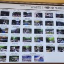 구천계곡야영장 | 백두대간 여행 3 - 무주 구천동, 구천동 계곡, 구천동 어사길, 구천동 33경