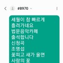 원음 법문음악카페 11.3 이미지