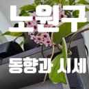 오성건축사무소