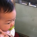 다드므리