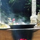 마스터디디 이미지