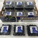 🫐아이브릭스-믿고 구매할 수 있는 칠레 대왕 블루베리🫐 이미지