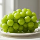 수출 농산물 | 과일계의 에르메스? 김천 GAP 수출용 샤인머스켓 특등품 리얼 후기