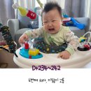 무애분식 | D+234~242 / 6번째 치아 이앓이 고통, 모유수유중 생리시작